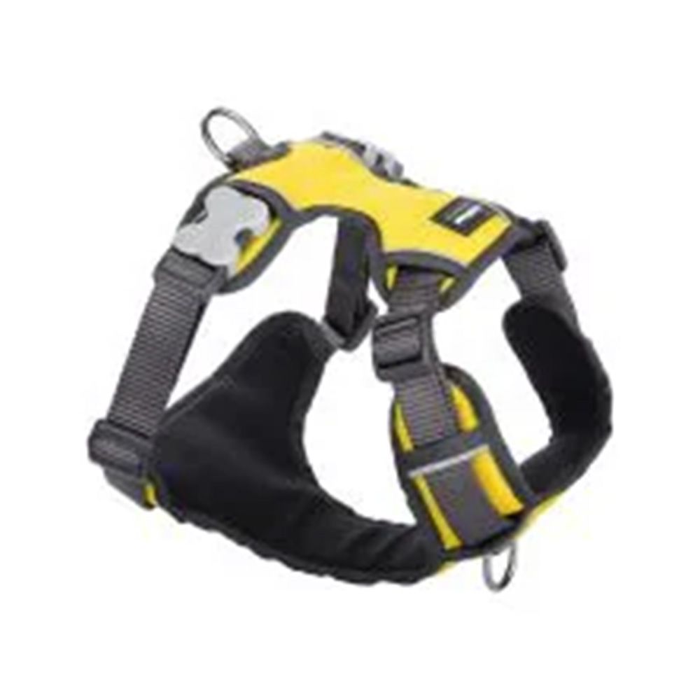 RedDingo Padded Dog Harness - Yellow