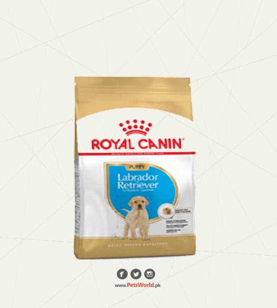 Royal Canin Dog Food for Labrador Puppy