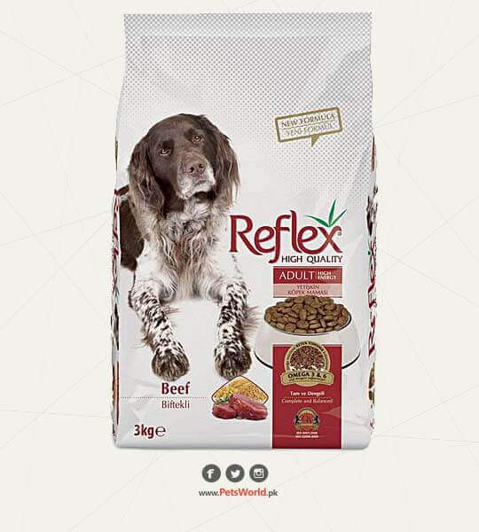 Reflex High Energy Adult Dog Food in Beef