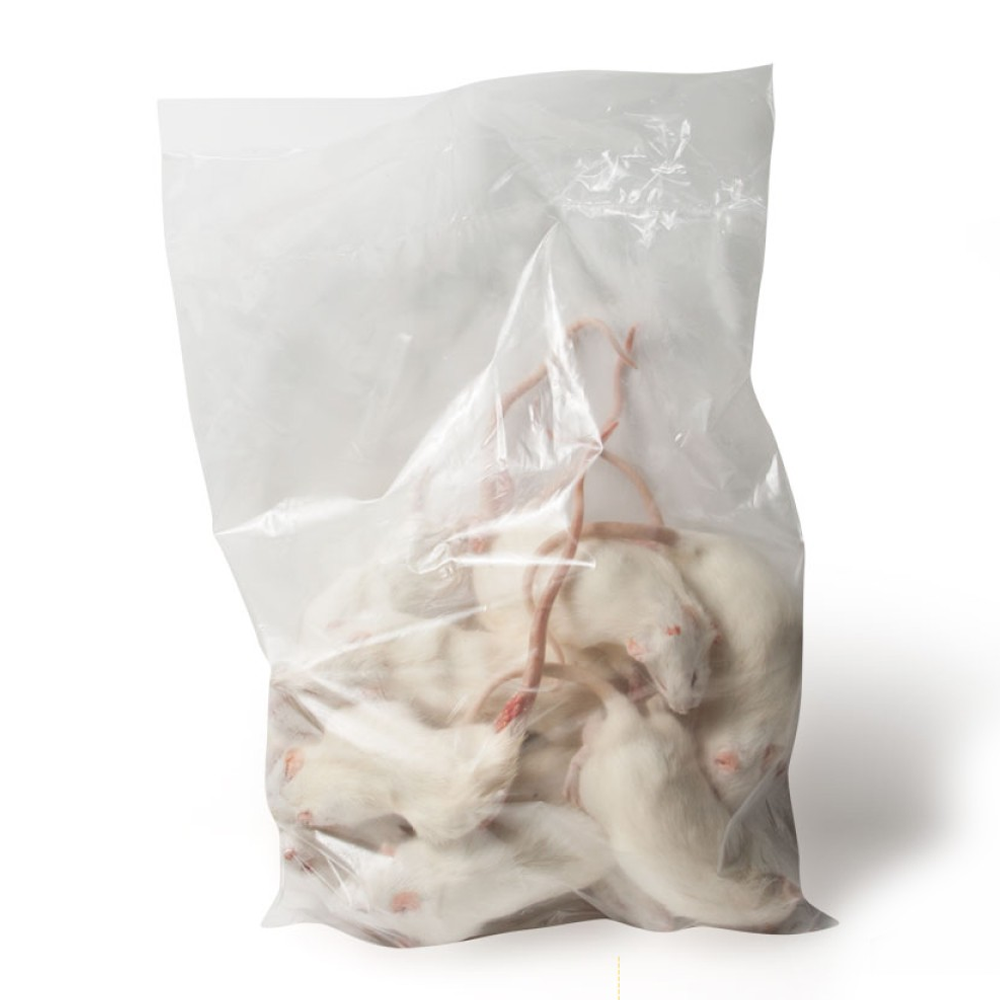 Frozen Regular Rats 150-250g - 5pcs