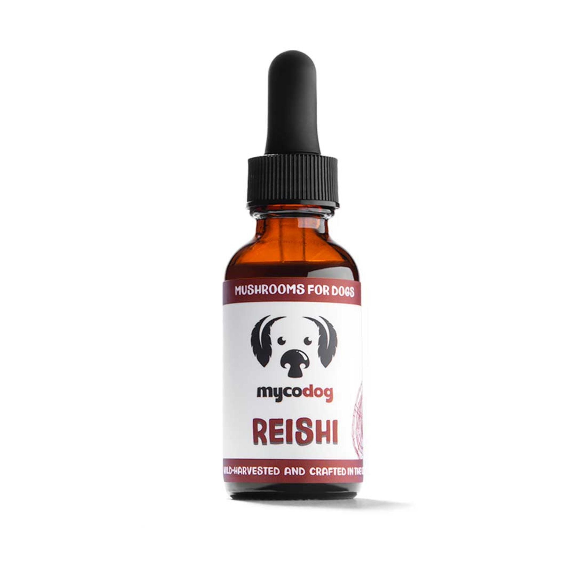 Reishi Mushrooms | Liquid Dual Extract