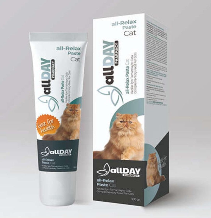 Allday All Paste Cat 100gm