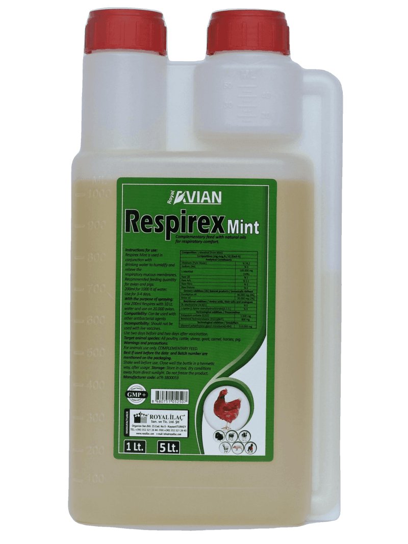 Respirex Mint 1Liter