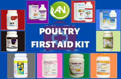 Poultry First Aid Kit