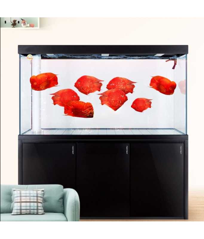 Karis Aquarium LYP-Series 100CM