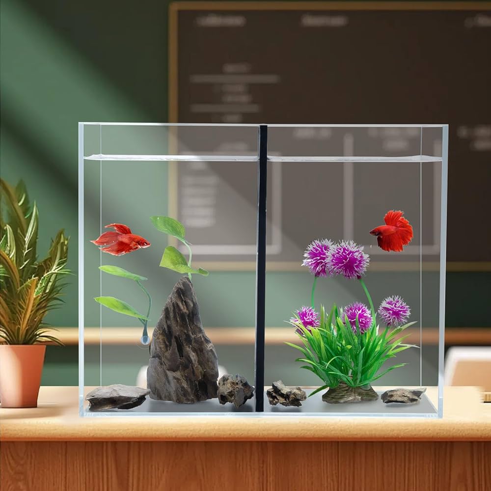 Betta Partition Tank