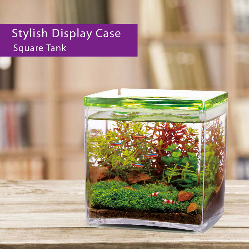 Ista Betta Tank