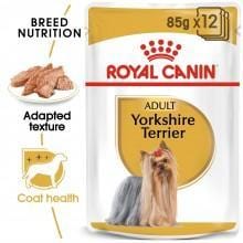 Adult Yorkshire Terrier (12x85g)