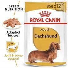 Adult Dachshund (12x85g)