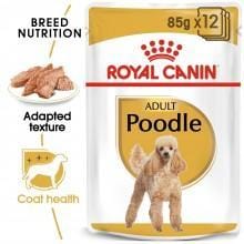 Adult Poodle (12x85g)