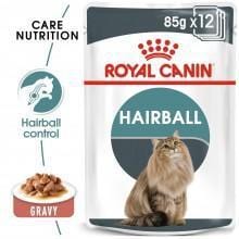 Hairball Care in Gravy