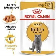 British Shorthair Wet Food
