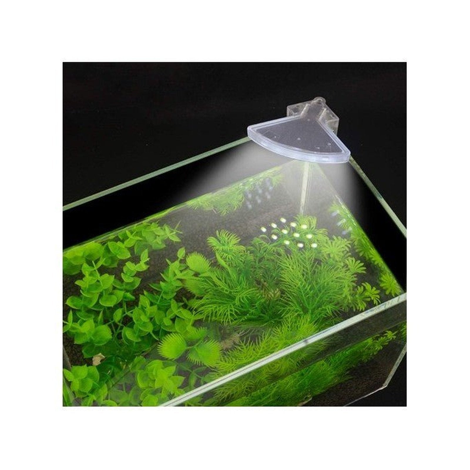 Roxin LED Top Light -White