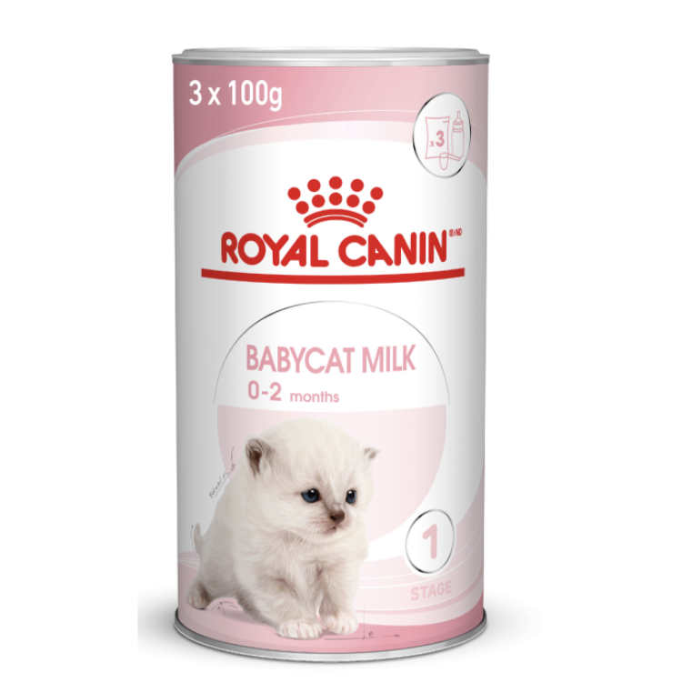 Royal Canin Feline Health Nutrition Babycat Milk Cat Wet Food 300 g