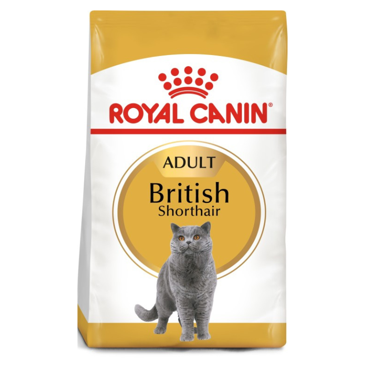 Royal Canin Feline Breed Nutrition British Shorthair Adult Dry Cat Food
