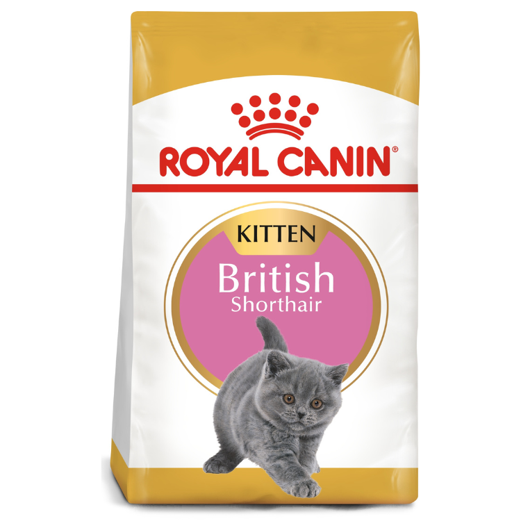 Royal Canin Feline Breed Nutrition British Shorthair Kitten Dry Food 2 KG