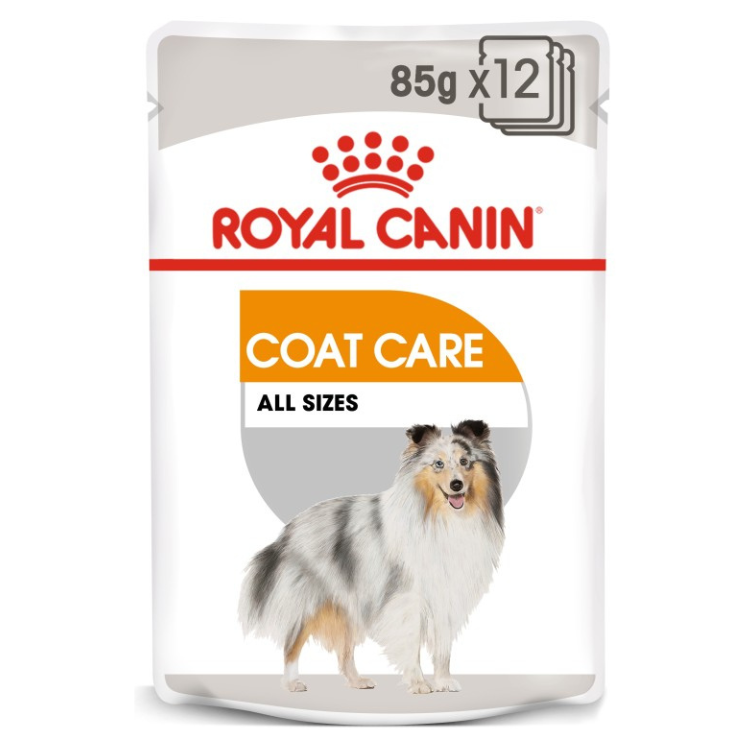 Royal Canin Canine Care Nutrition Coat Care (Dog Wet Food - Pouches)