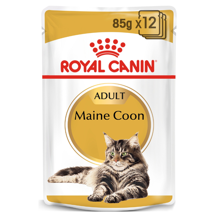 Royal Canin Feline Breed Nutrition Maine Coon (Cat WET FOOD - Pouches)