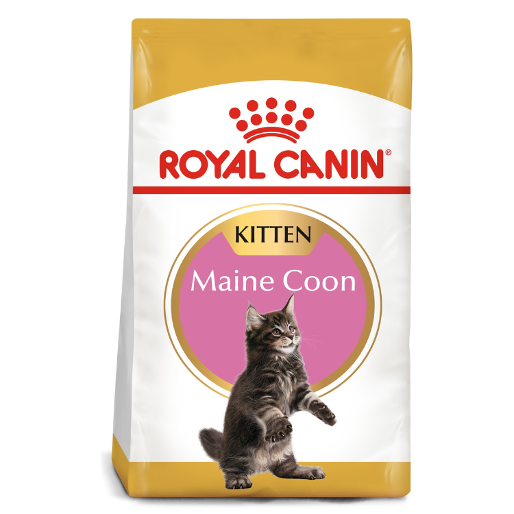 Royal Canin Feline Breed Nutrition Maine Coon Kitten Dry Food 2 KG