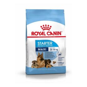 Royal Canin Maxi Starter Dog Food