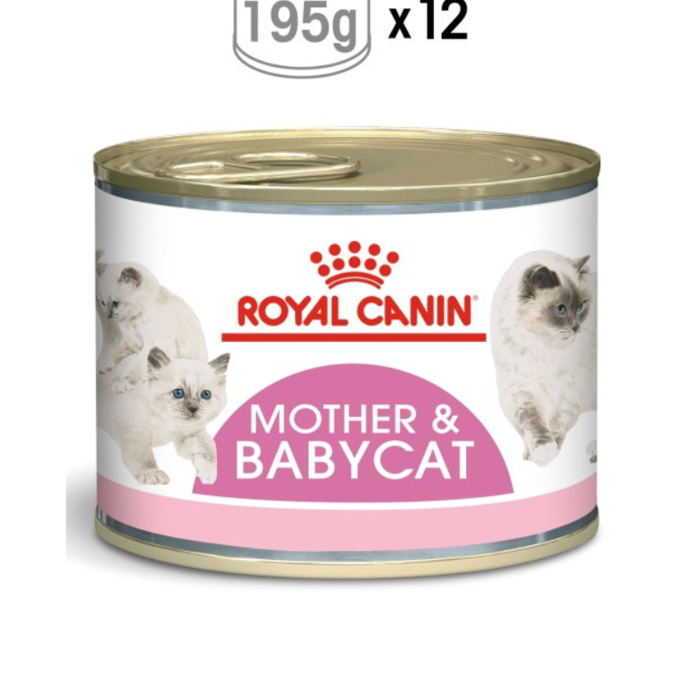 Royal Canin Feline Health Nutrition Mother & Babycat Mousse (Cat Wet Food - Cans)