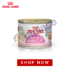 Whiskas Chicken Tin In Jelly 390gm