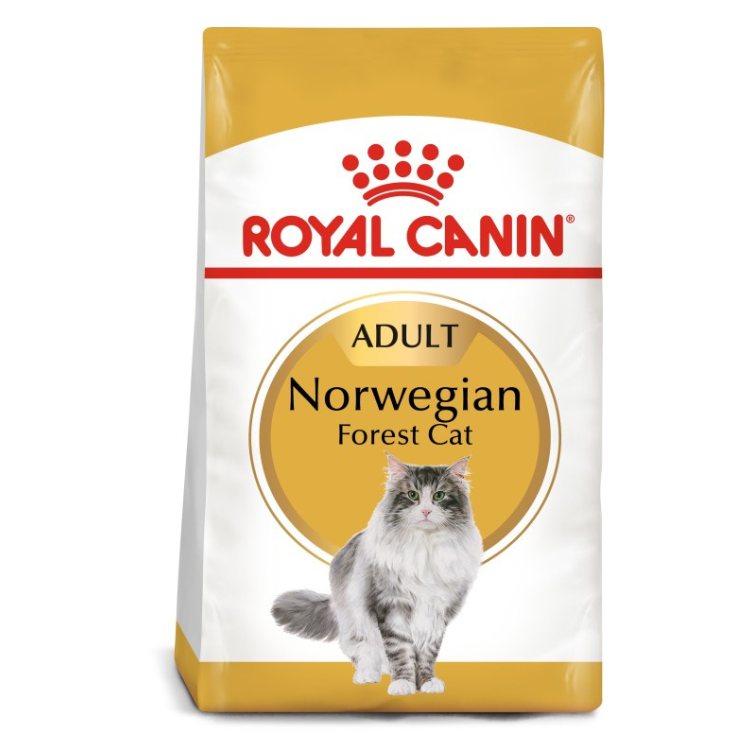 Royal Canin Feline Breed Nutrition Norwegian Forest Cat Adult Dry Food 2 KG