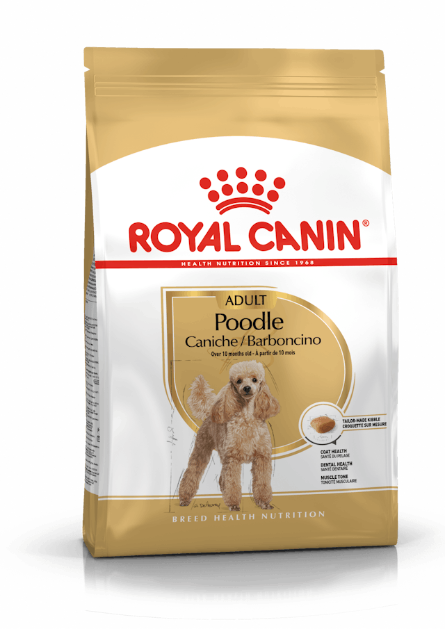 Royal Canin Breed Health Nutrition Poodle Adult Dry Dog Food