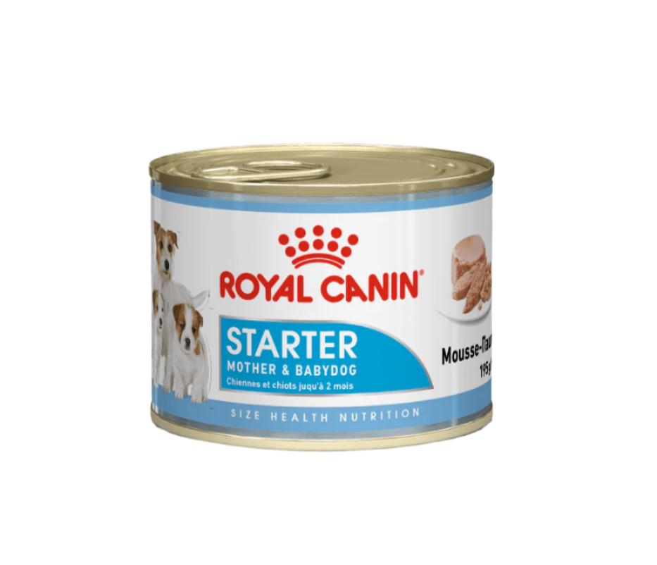 Royal Canin Canine Health Nutrition Starter Mousse (Wet Food - Cans) 12 x 195 g