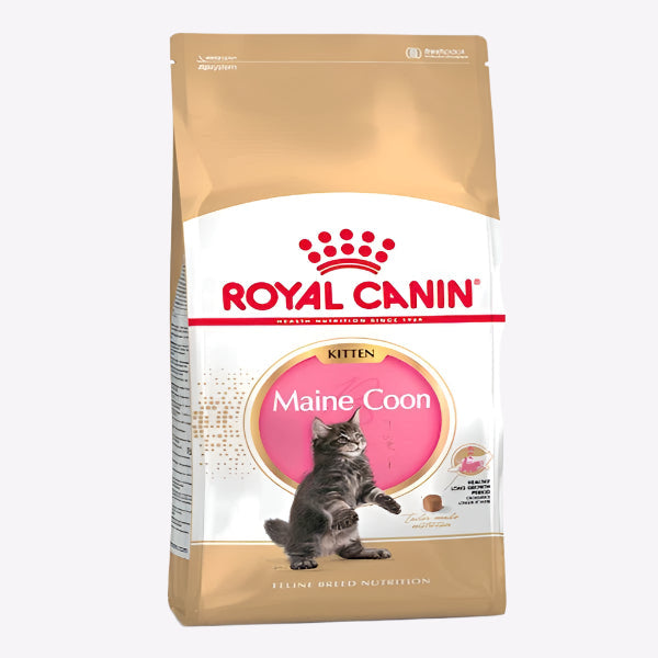 Royal Canin Maine Coon Kitten Dry Food 2KG