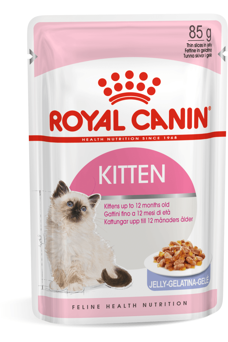 Royal Canin Feline Health Nutrition Kitten Jelly (Wet Food - Pouches) 12 x 85 g
