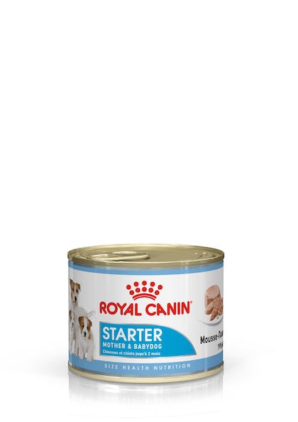 ROYAL CANIN Starter Mousse Mother & Babydog Wet, Dog