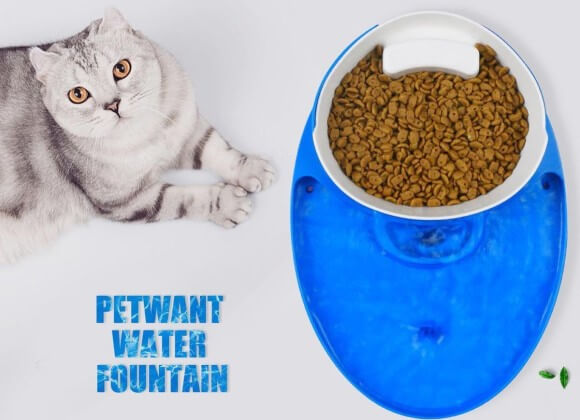 3 In 1 Automatic Pet Water Fountain
