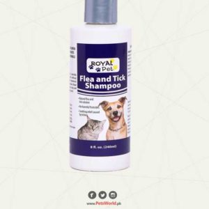 Royal Pet Shampoo | Natural Flea and Tick Solution for dogs & Cat
