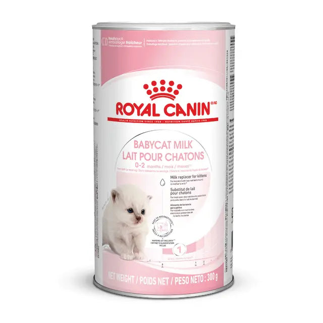 Royal Canin Babycat Milk 300g with Feeder Kit | Pets Grocery Store