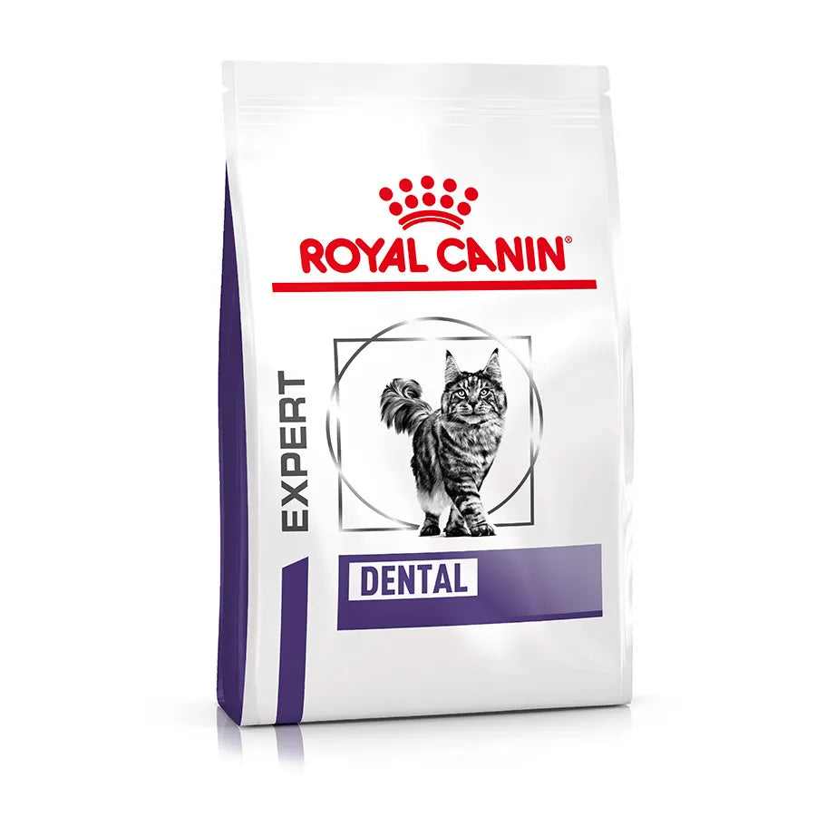 Royal Canin Expert Dental Adult Dry Cat Food 2kg | Pets Grocery Store