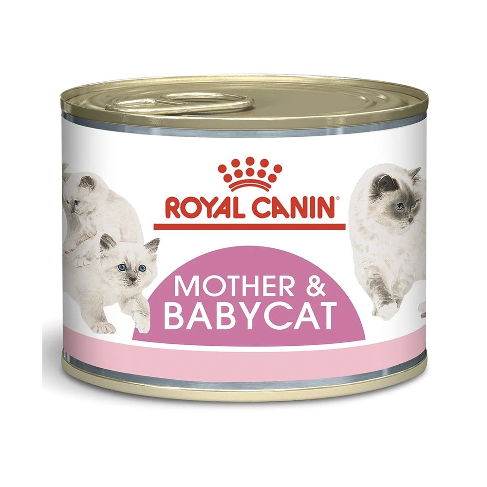 Royal Canin FHN Mother & Babycat Cat Food - 195g