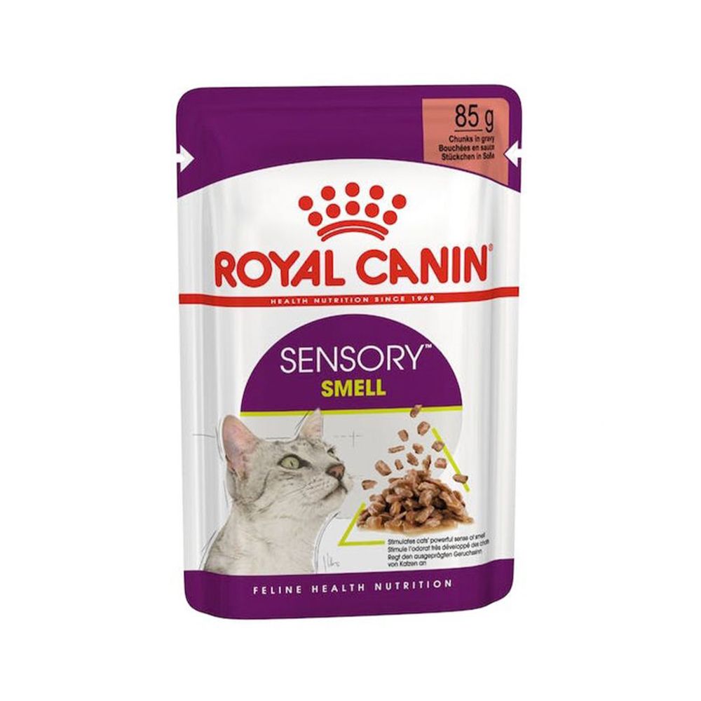 Royal Canin Sensory Smell Chunks in Gravy Cat Food Pouch - 85 g - Pack of 12