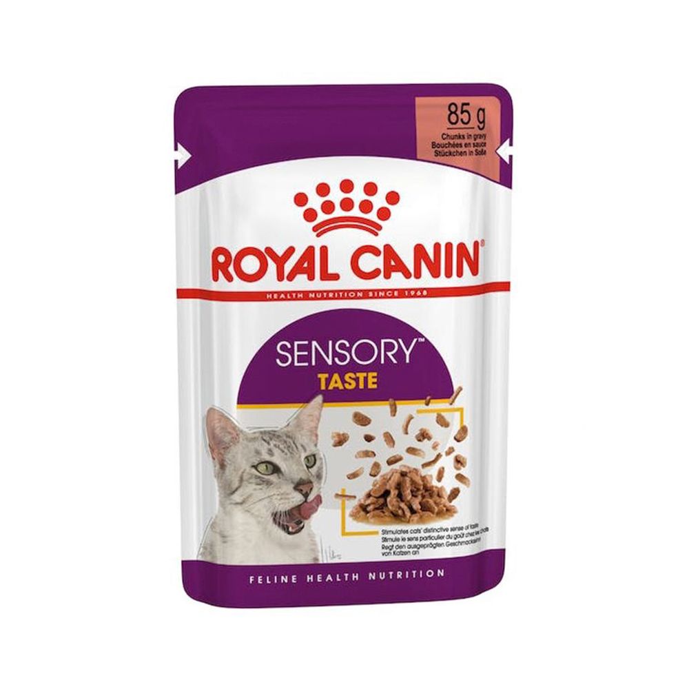 Royal Canin Sensory Taste Chunks in Gravy Cat Food Pouch - 85 g - Pack of 12