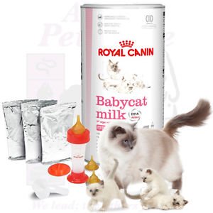 Royal Canin Baby Cat Milk Replacer
