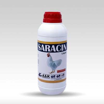 SARACIN