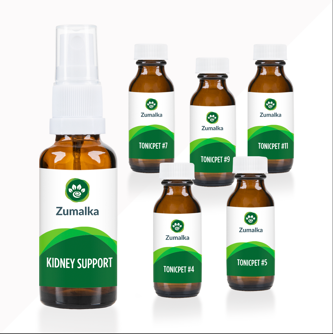 Kidney Support Optimal Kit: Complete Kidney Wellness for Pets