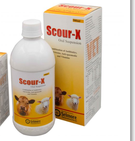 Scour-X Oral susp 500 ml buy online in Pakistan