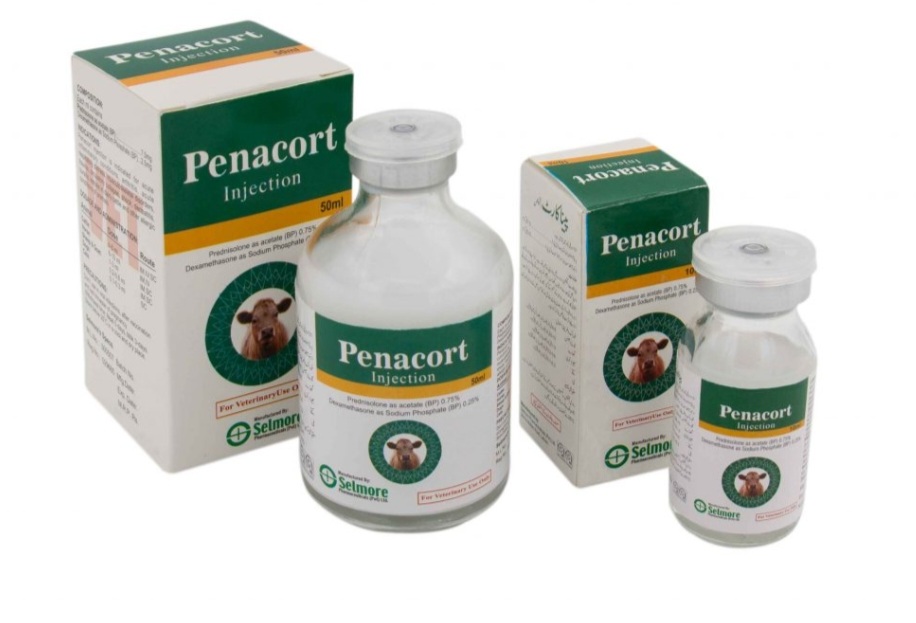 Penacort 50 ml buy online in Pakistan