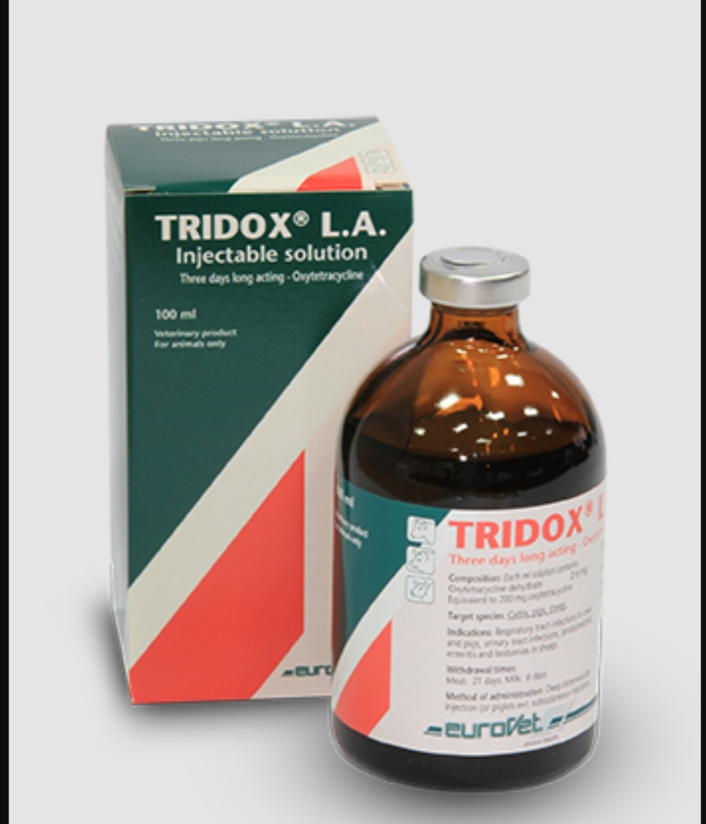 Tridox LA Buy online in Pakistan