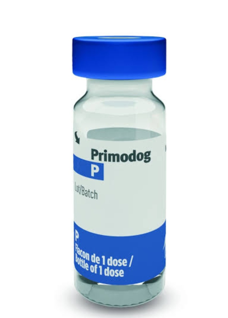 Primodog vaccine buy online in Pakistan
