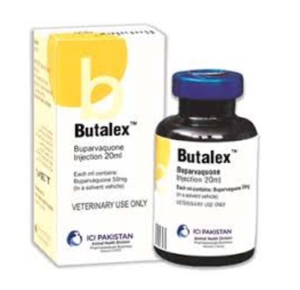 Butalex Injection buy online in Pakistan