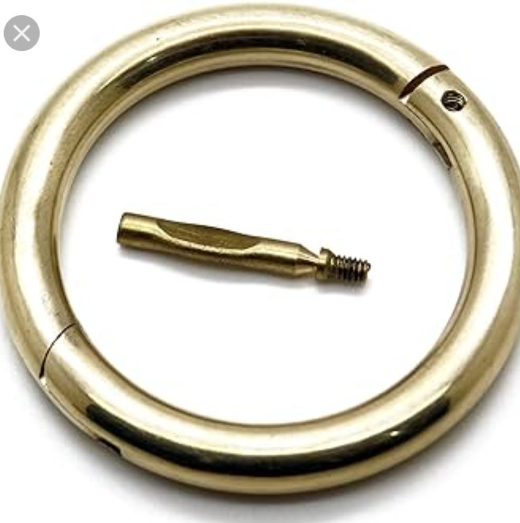 BULL Nose Ring Buy online in pakisatn
