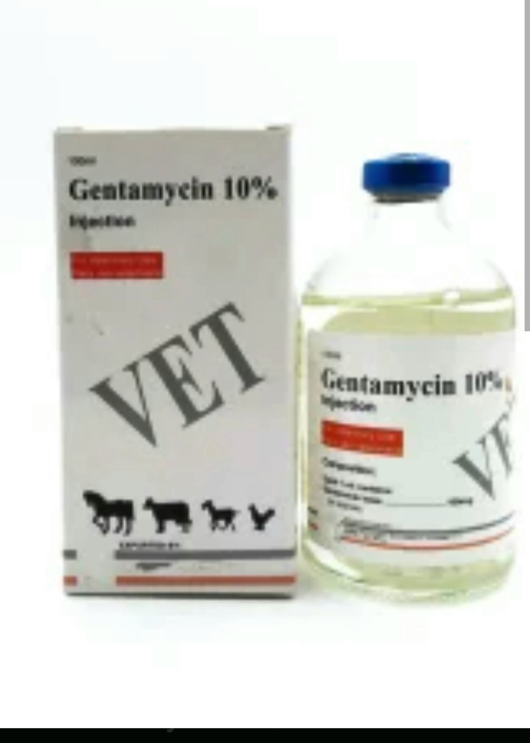Gentamycin 10% china buy online in Pakistan