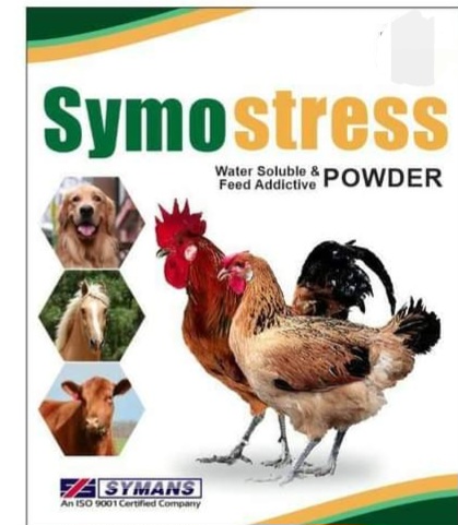 Symostress multivitamin for Birds buy online